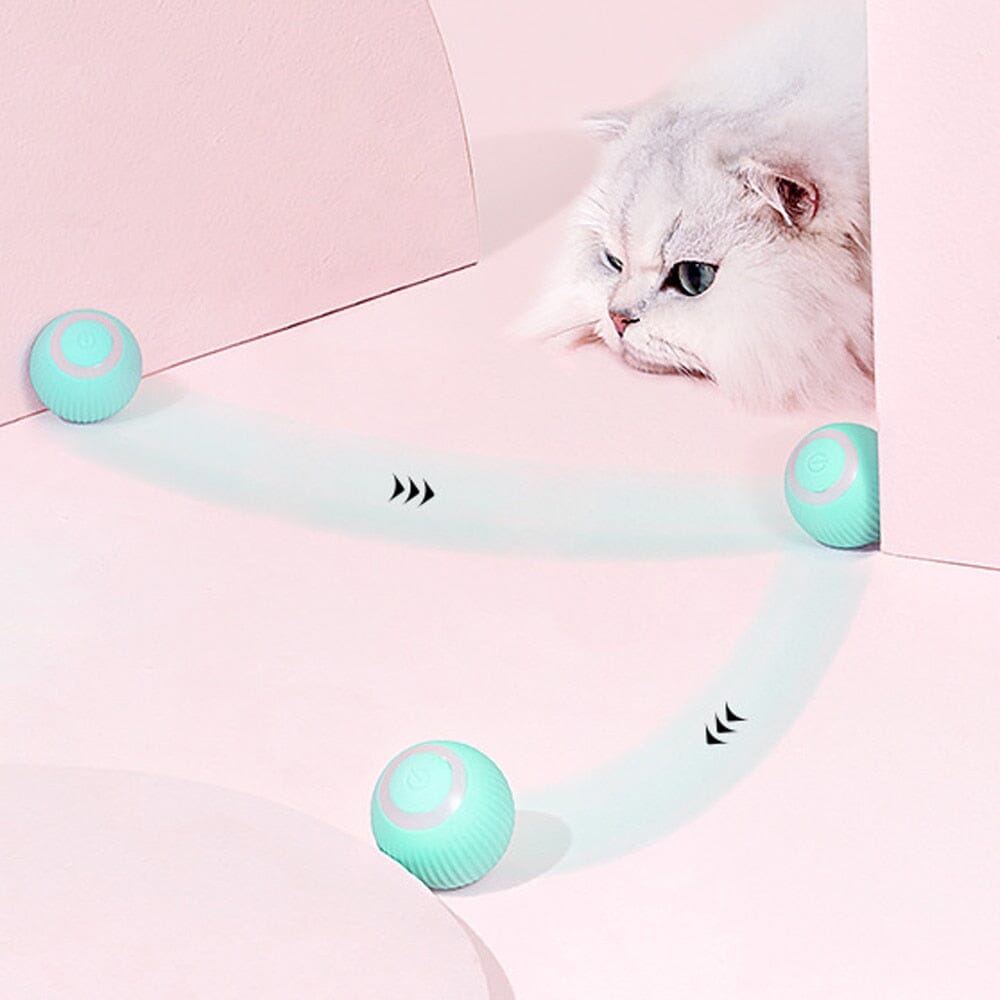 AutoBall™ - Jouet électrique interactifs pour chats - Compagnon chic