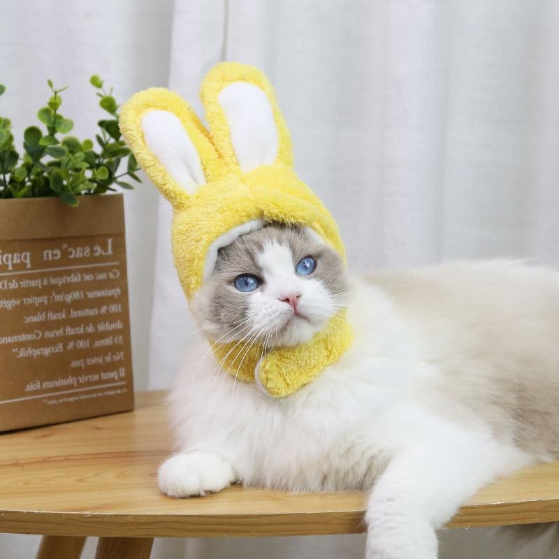 RabbitHat™ - Accessoire de déguisement pour chat - Compagnon chic